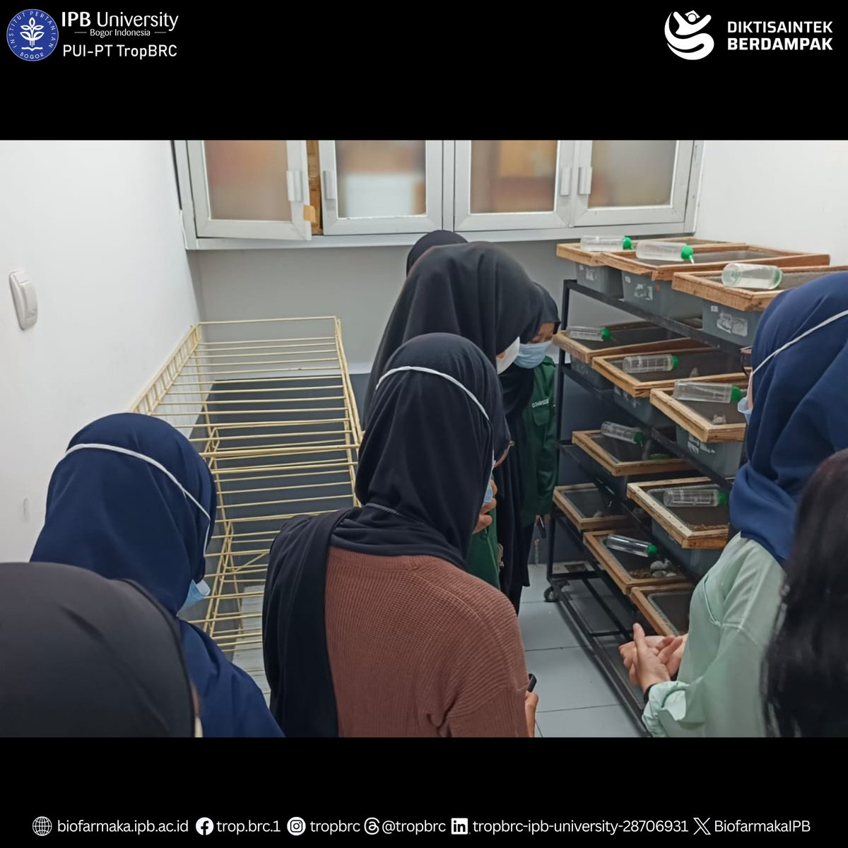 TropBRC IPB tweet media