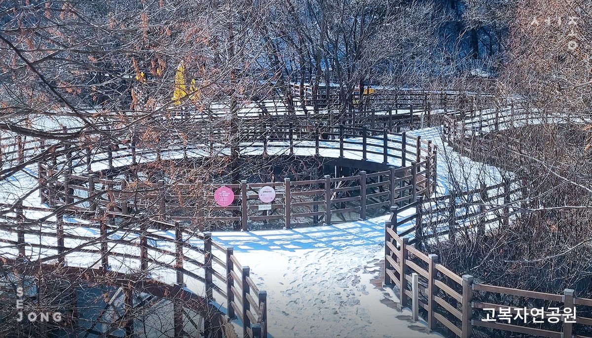 저장 필수 📍🤍
세종 겨울 산책 코스

1️⃣ 비암사
2️⃣ 무궁화테마공원
3️⃣4️⃣ 고복자연공원

💦 미끄러우니 조심조심 ☃️👟👟
눈 녹기 전에 다녀오세요~(๑•᎑•๑)♬*゜

📸 영상으로 만나보세요 🥰
facebook.com/share/r/176z69…