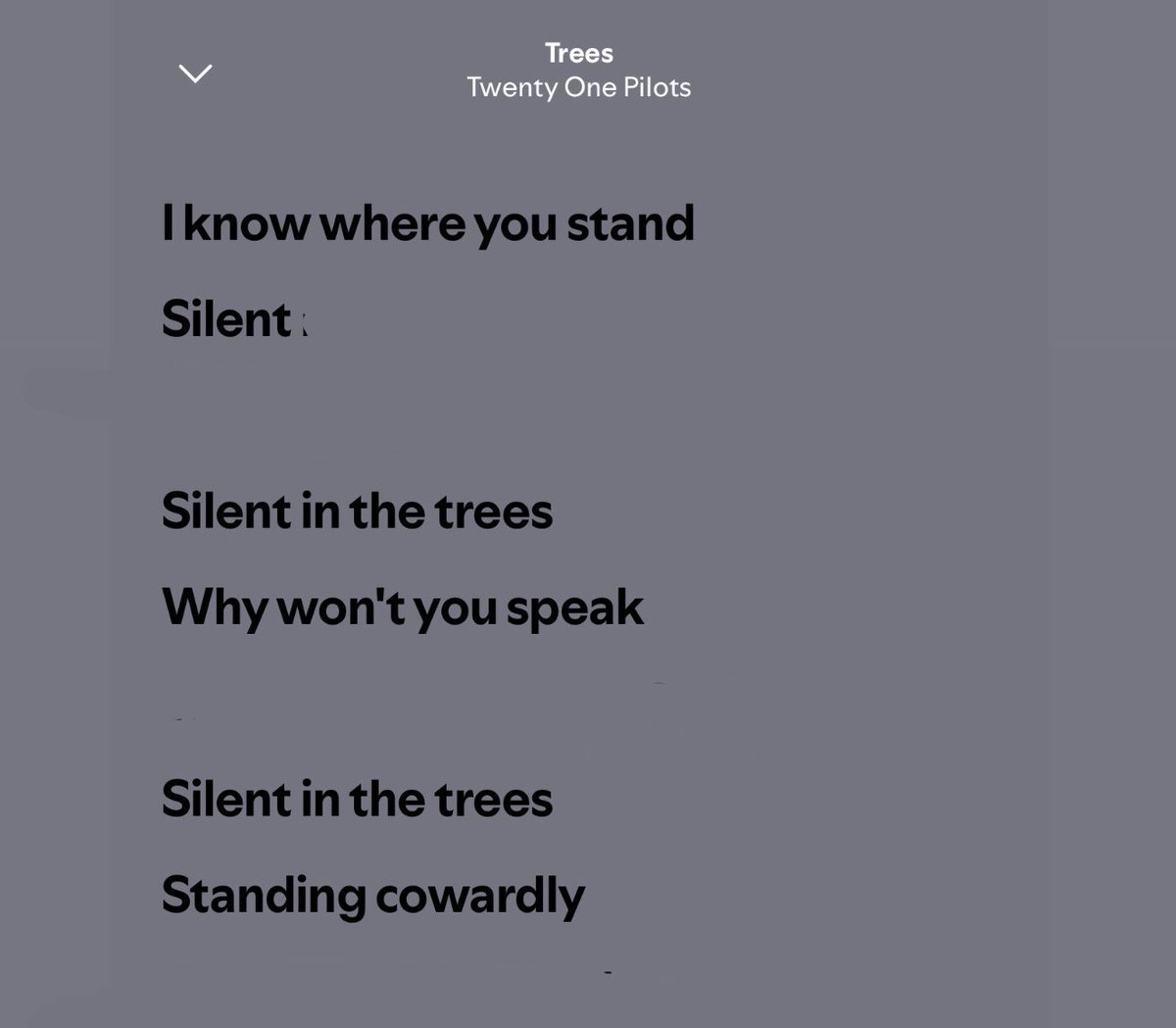 shanae ⊬ tweet media