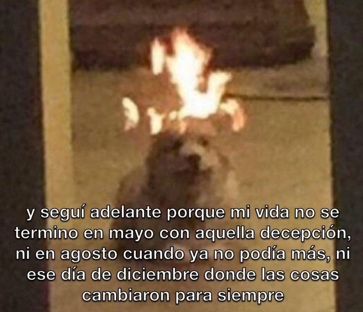 Ojos color sol (@ojoscol0rsol) on Twitter photo 