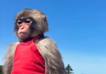 Omo like this if you no Dey repost 
You no fit see me for your page . 

I fit even block you if I Dey vex when I see your page .