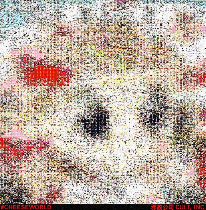 ⸜(｡˃ ᵕ ˂ )⸝♡ tweet media