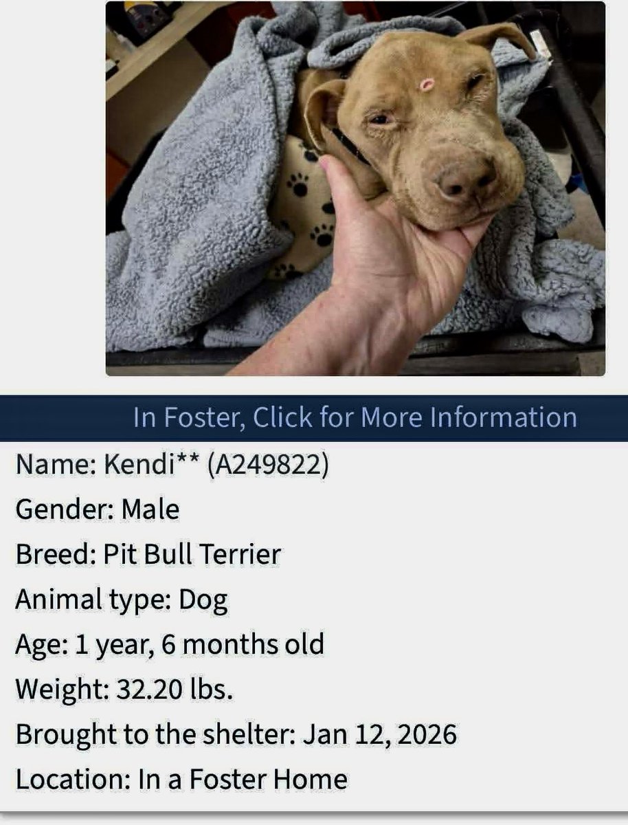 Donna Lac tweet media