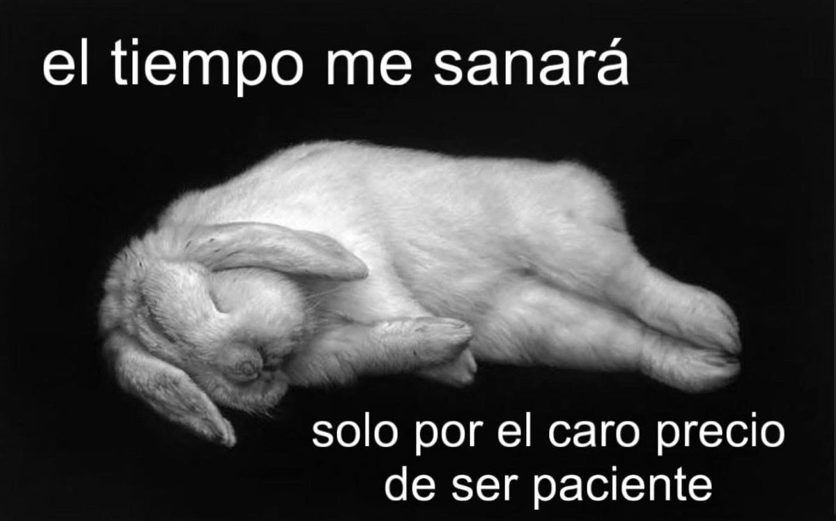 Ojos color sol (@ojoscol0rsol) on Twitter photo 