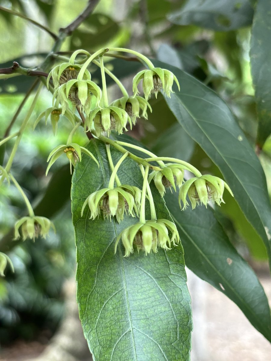 Dr Timothy Utteridge tweet media