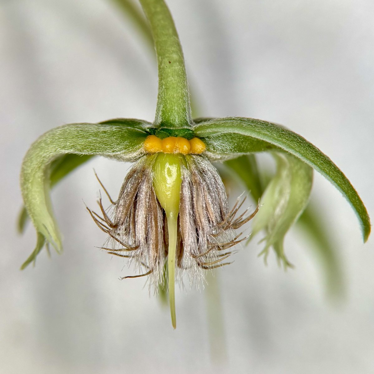 Dr Timothy Utteridge tweet media