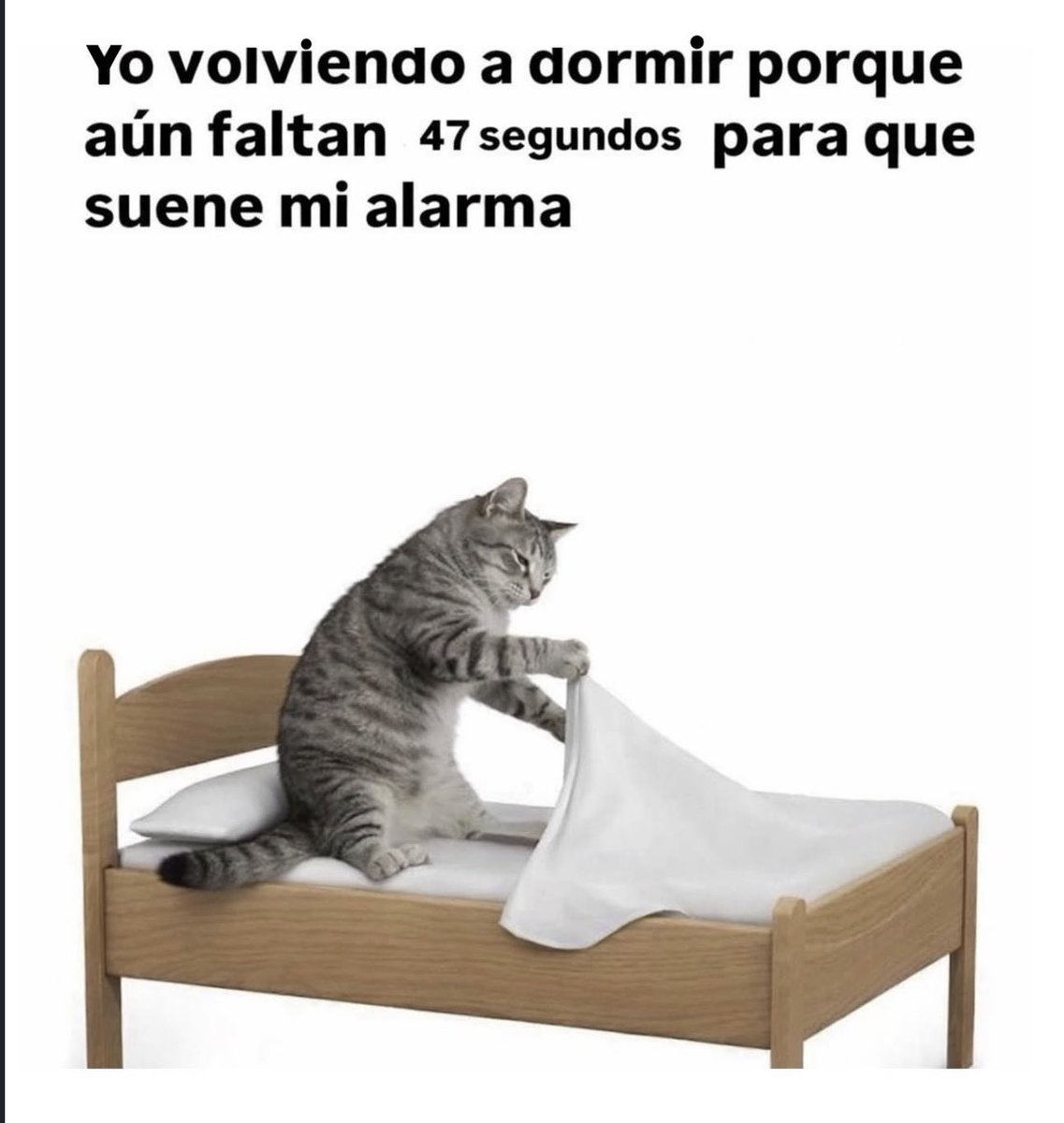 Alejo (@bjs_alejo2) on Twitter photo 