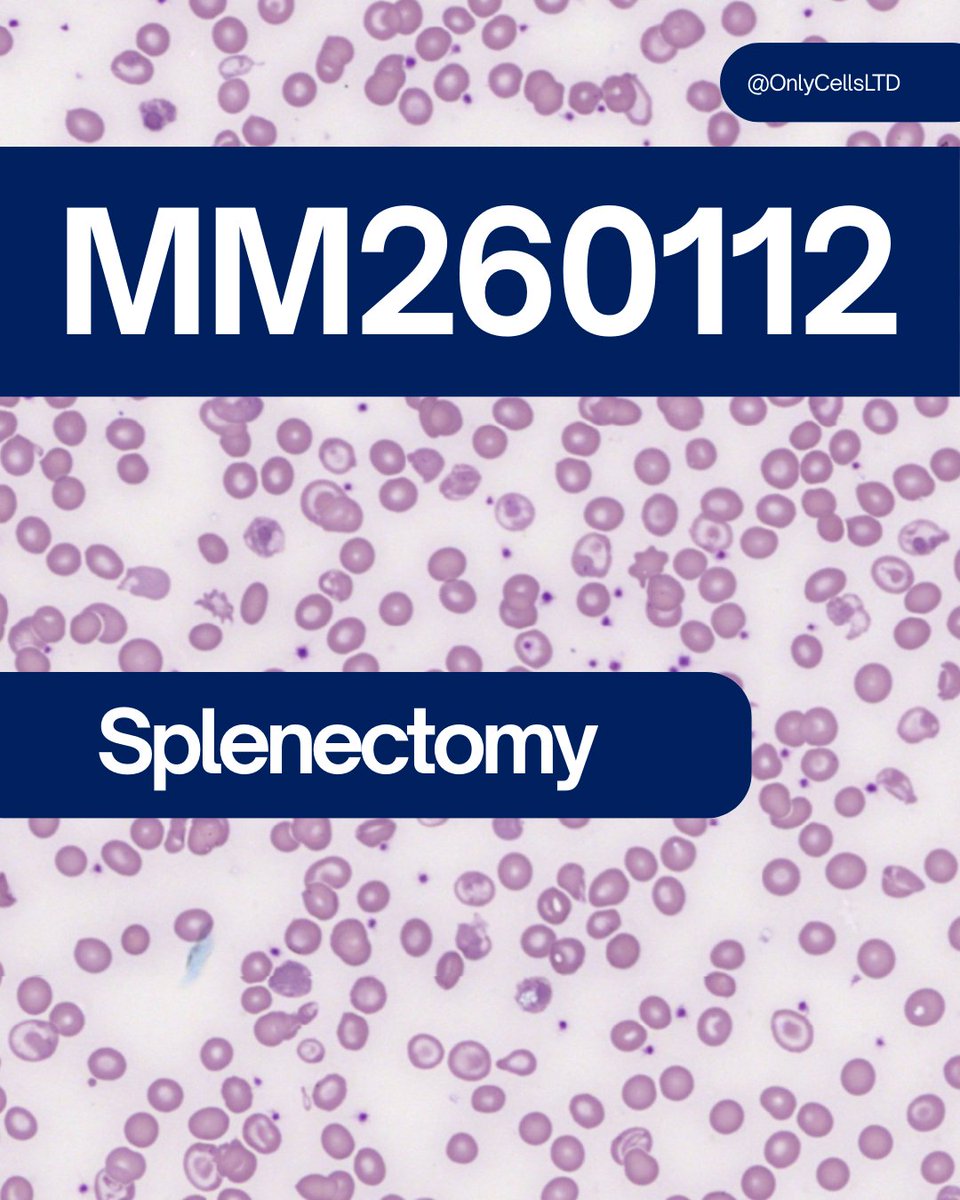 Only Cells tweet media