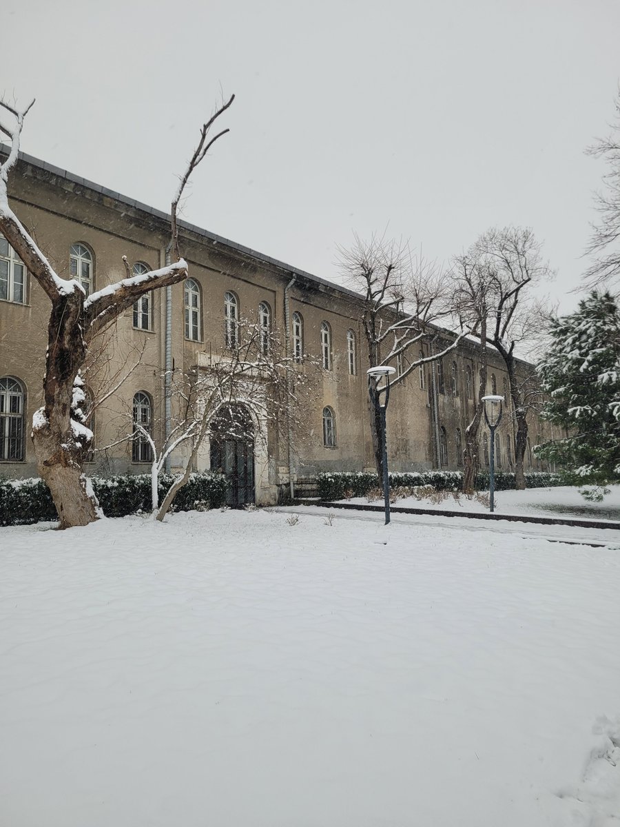 boyle sabahin safagini