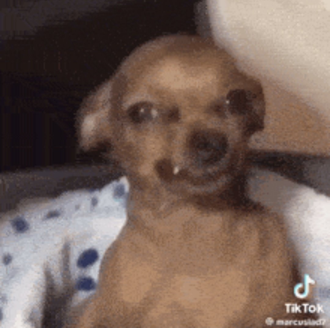 Nhanha posted a vlog where she went to South Africa in a private jet and dropped R144k for shopping..President ngavachitengesa havo Zimbabwe  vandipe share yangu ndiende zvangu