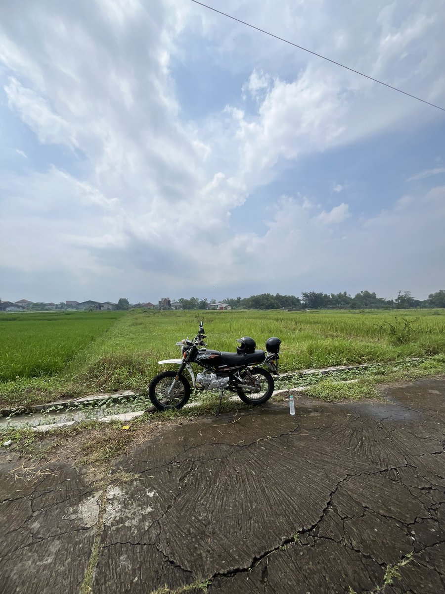 arbhimo's tweet image. Hong