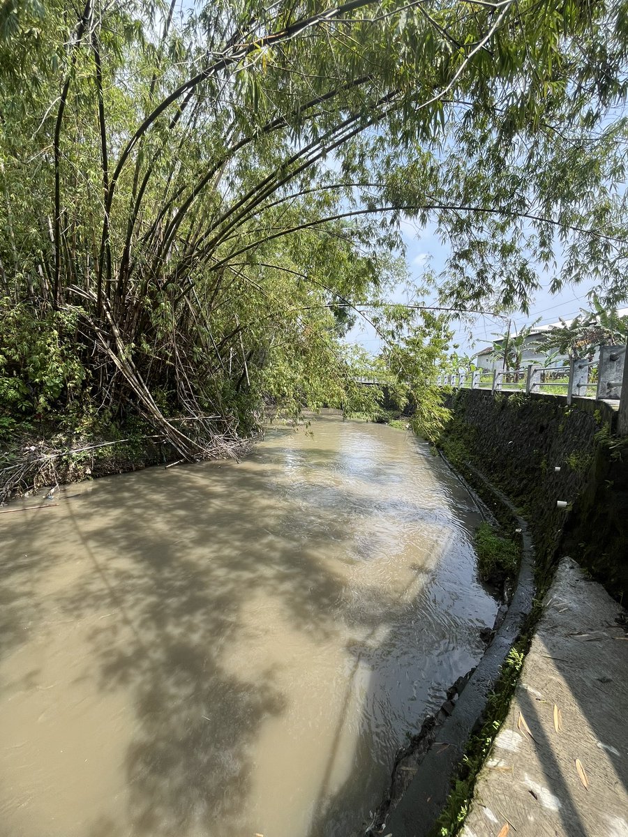 arbhimo's tweet image. Hong