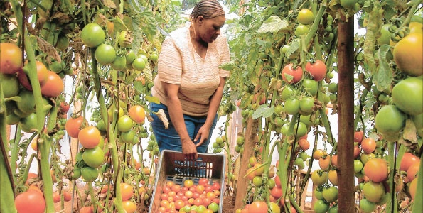 Rtn. Rosemary Mutyabule I. tweet media