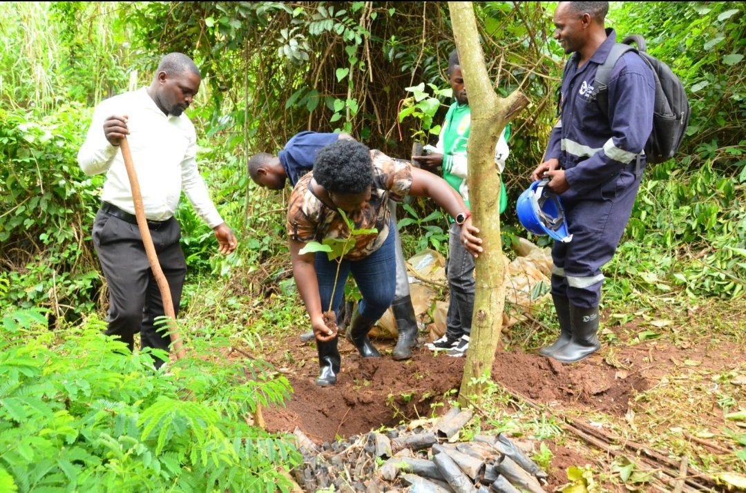 CCFU_NGO's tweet photo. Nature is more than just a resource; it’s a source of healing, ritual, and history. CCFU advocates for conservation that recognizes the spiritual and intrinsic value of our landscapes, not just the economic ones. Let’s protect what matters. https://t.co/kkMqfa4Eaf