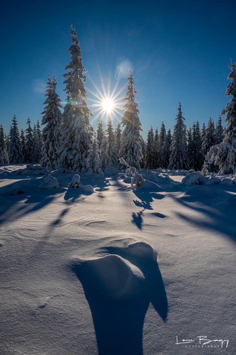 Travel_2Romania's tweet photo. ❄️❄️❄️ Tărâmul zăpezilor - la pas pe culmile de la Buscat
©️levibagyphotography #ianuarie2026 #buscat #muntelebăișorii #romaniafrumoasa #muntiiapuseni
@urmăritori
TVR Târgu Mureş
https://t.co/3rvsyxweAA
Apuseni Info Cluj 1
Descopera Munții Apuseni 🌲 https://t.co/5XyY2D4yb2