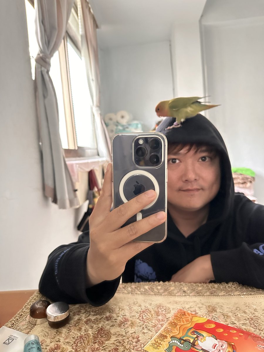 KCMOMOKC's tweet photo. 回台北遇到新家人🦜 https://t.co/dJENgLxe4k
