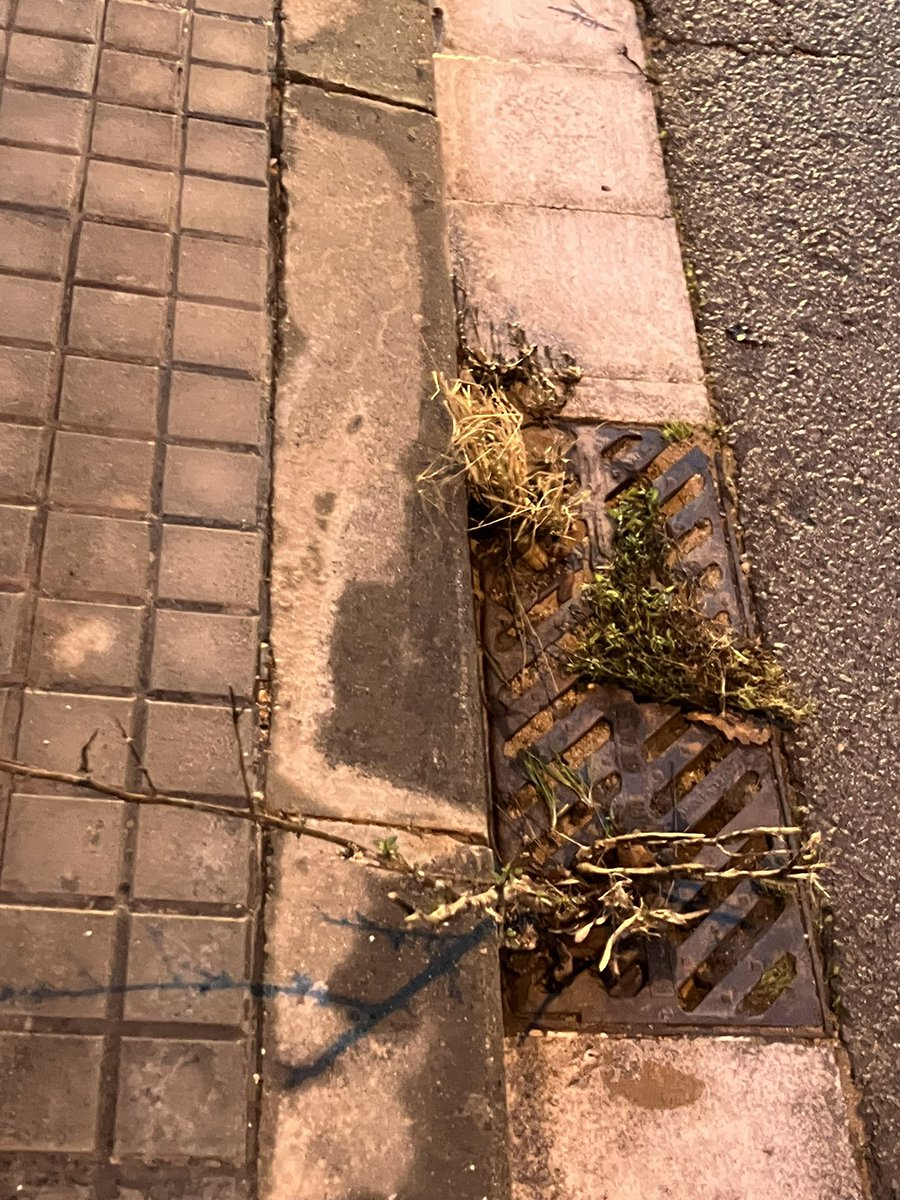mertxines's tweet photo. @AjBadalona Podeu fer netejar i desembussar les reixetes de les entrades d‘aigua dels carrers que baixen cap a mar? Martí Pujol, Torrent de Vallmajor etc quan plou semblen rius i a les reixes hi creixen plantes!! https://t.co/5UVduaSKGj