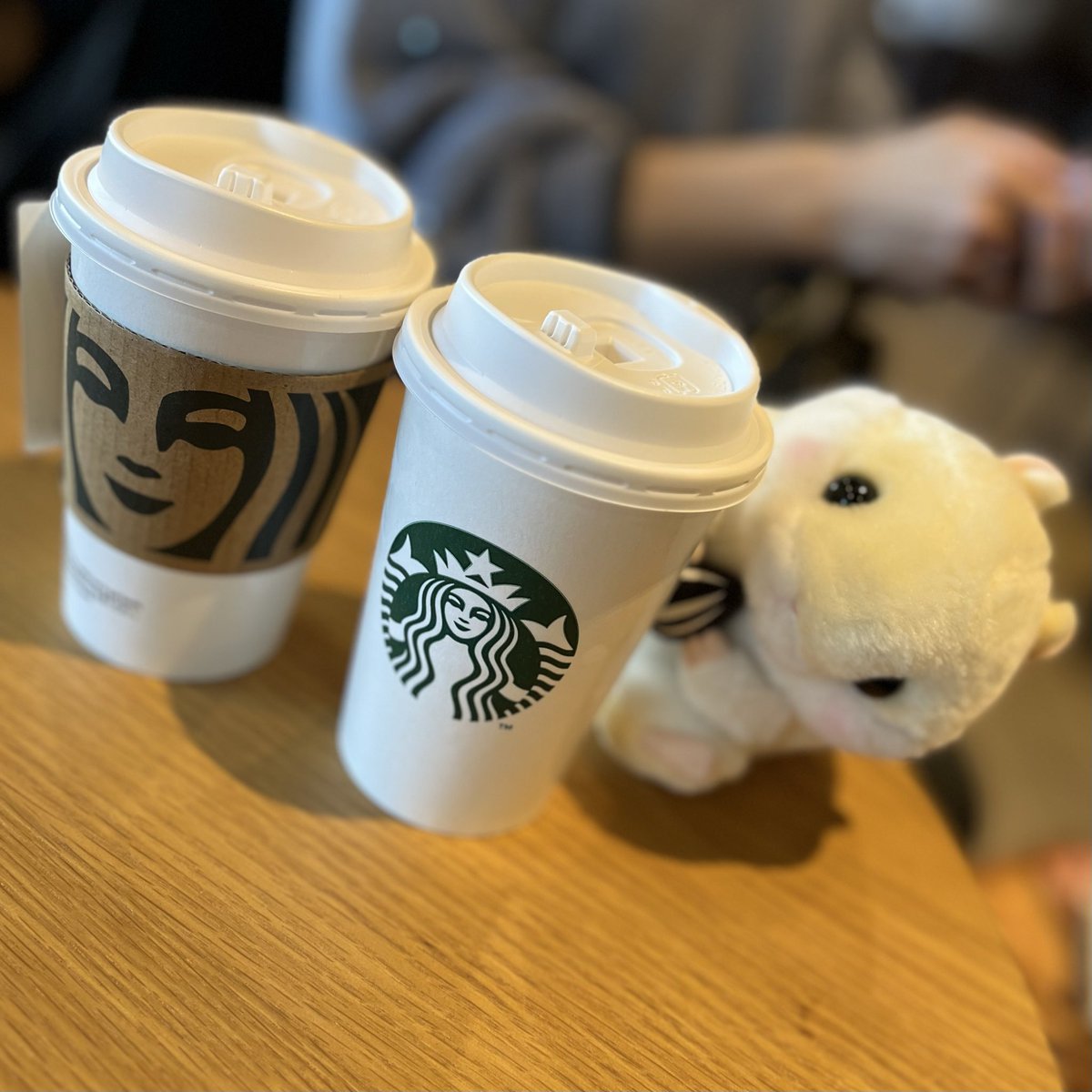 はむまる はむまる (@hamumaru_86) / Posts / X