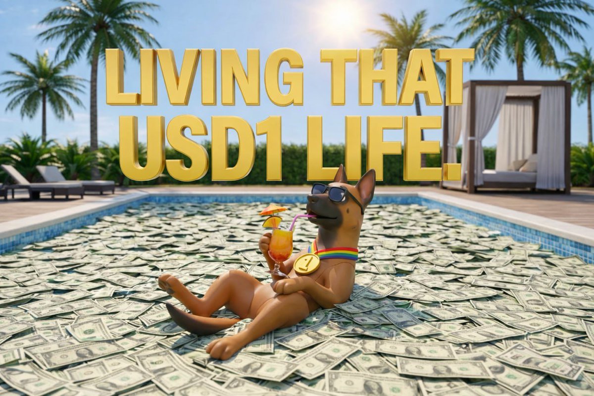 Kash_USD1's tweet photo. Nothing can disturb me except enjoyment.

#USD1 Szn, shining brightly 🦅☝️ https://t.co/pzHyGrxYan