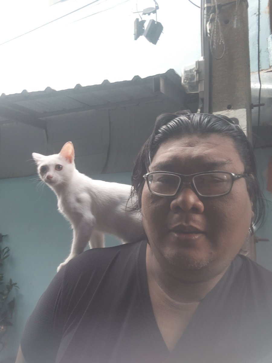 Thanaphont Baramesakul tweet media