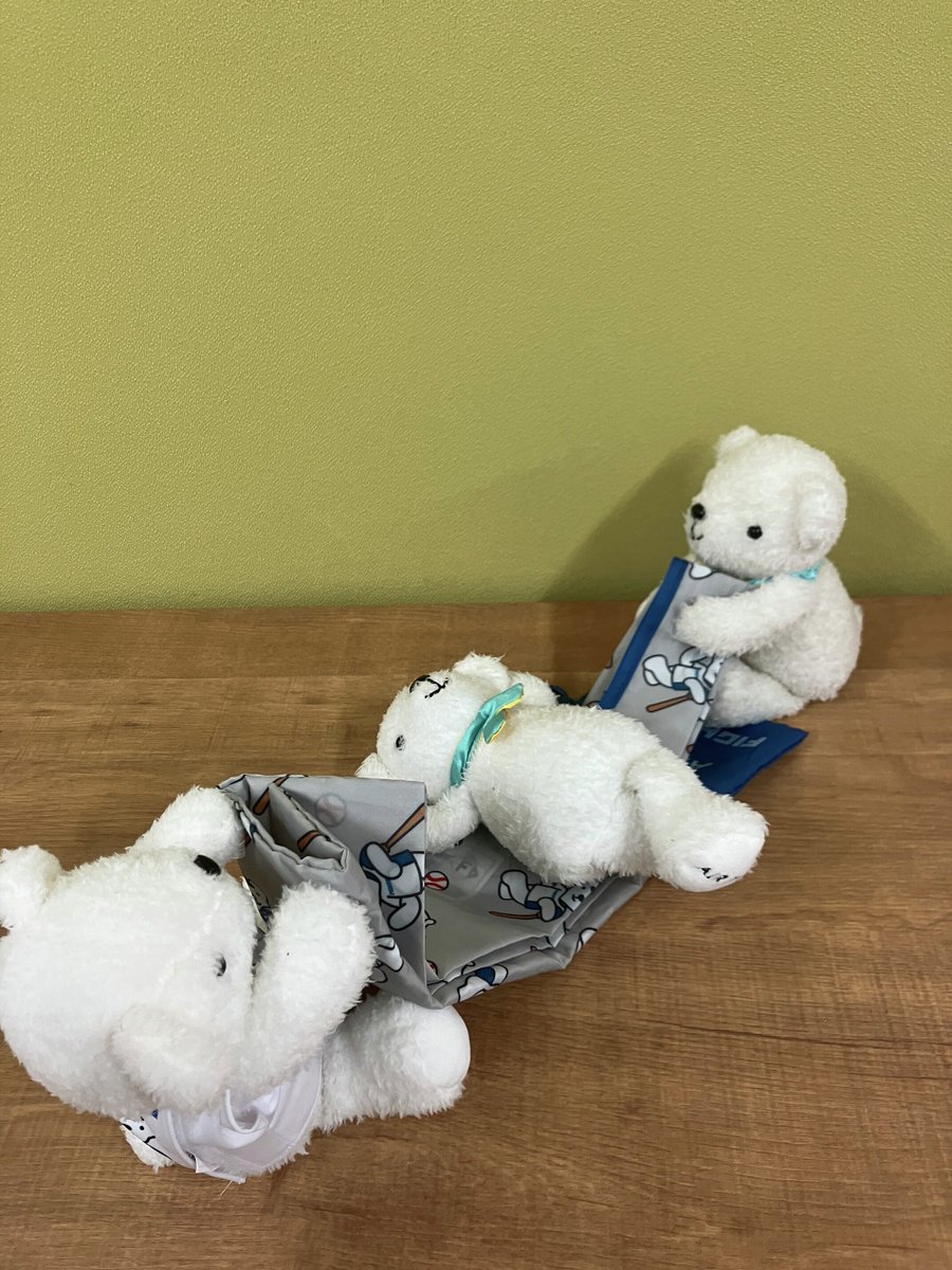 ベア・ドゥがエコバッグをたたんで（？）くれました • ᴥ •