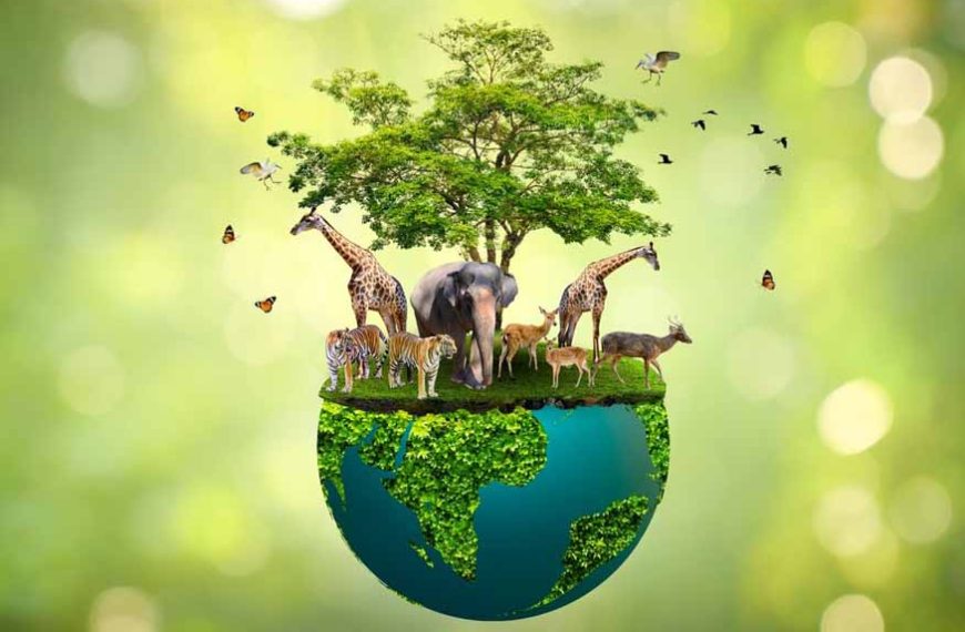 Scientists say that around 27000 species of life forms are becoming extinct every year due to loss of habitat.
The crisis has reached a point where 80% of the insect biomass has gone.
Loss of biodiversity further disrupts the soil habitat and prevents soil regeneration.
#Savesoil