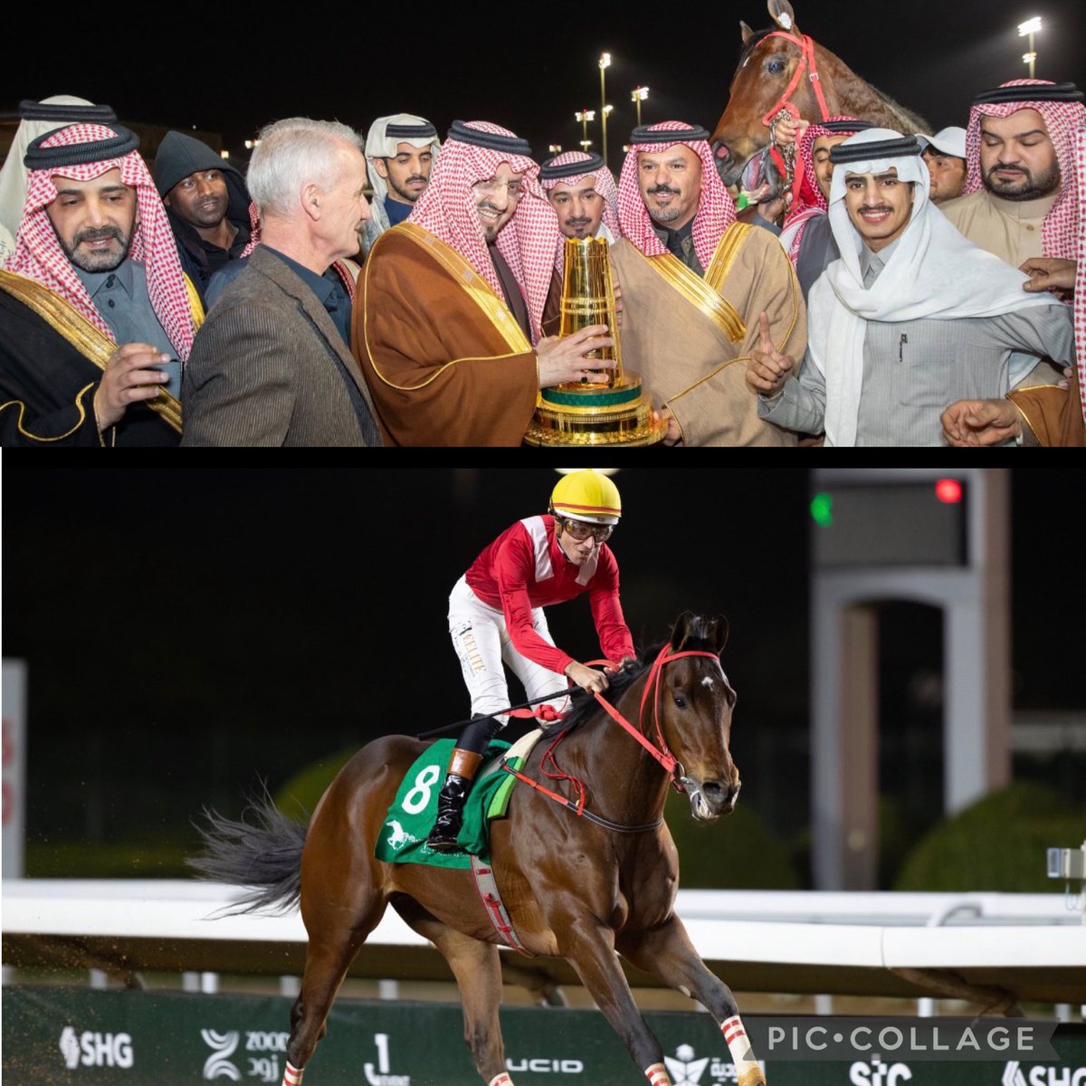 #السباقات_السعوديه 

شوط كأس المؤسس كان خاليا من التكتيك المؤذي وكل جواد اخذ مكانه الذي يستحقه فذياف كان بطلا بقدراته الراهيه .
والابيض كان بطلاً بنزاهته رغم توفر العدد الكافي من الجياد للتأثير على مسار الشوط .

شكراً للنزاهه والتنافس الشريف 🖐🏽