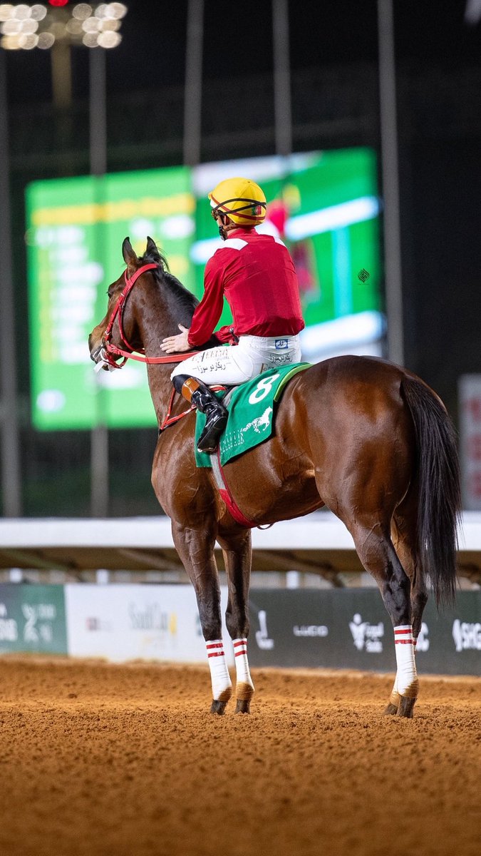 horses_world's tweet photo. #السباقات_السعوديه 

شوط كأس المؤسس كان خاليا من التكتيك المؤذي وكل جواد اخذ مكانه الذي يستحقه فذياف كان بطلا بقدراته الراهيه .
والابيض كان بطلاً بنزاهته رغم توفر العدد الكافي من الجياد للتأثير على مسار الشوط .

شكراً للنزاهه والتنافس الشريف 🖐🏽 https://t.co/afSceIuOM4