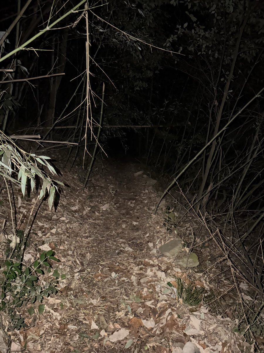 kaidanmeguri's tweet image. 四国の秘境駅として有名な坪内駅だが、実は阿波半田駅から徒歩2時間、隣駅の箸蔵駅なら1時間なので歩きありなら到達難易度はさほど高くない。しかし駅舎内に貼ってあった思い出話がとてもよかった。