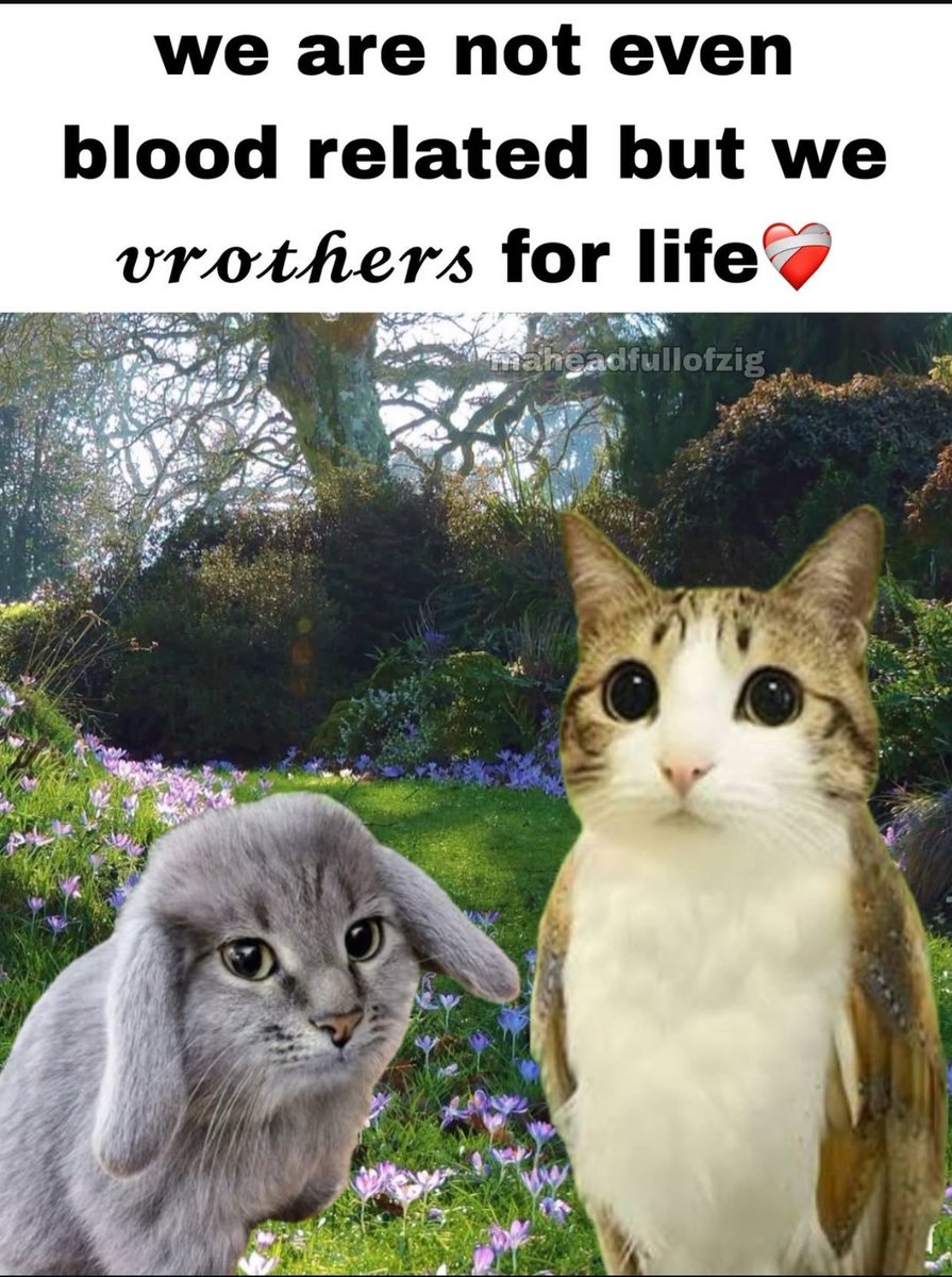 Scribble_Core's tweet image. 2026 Media Thread