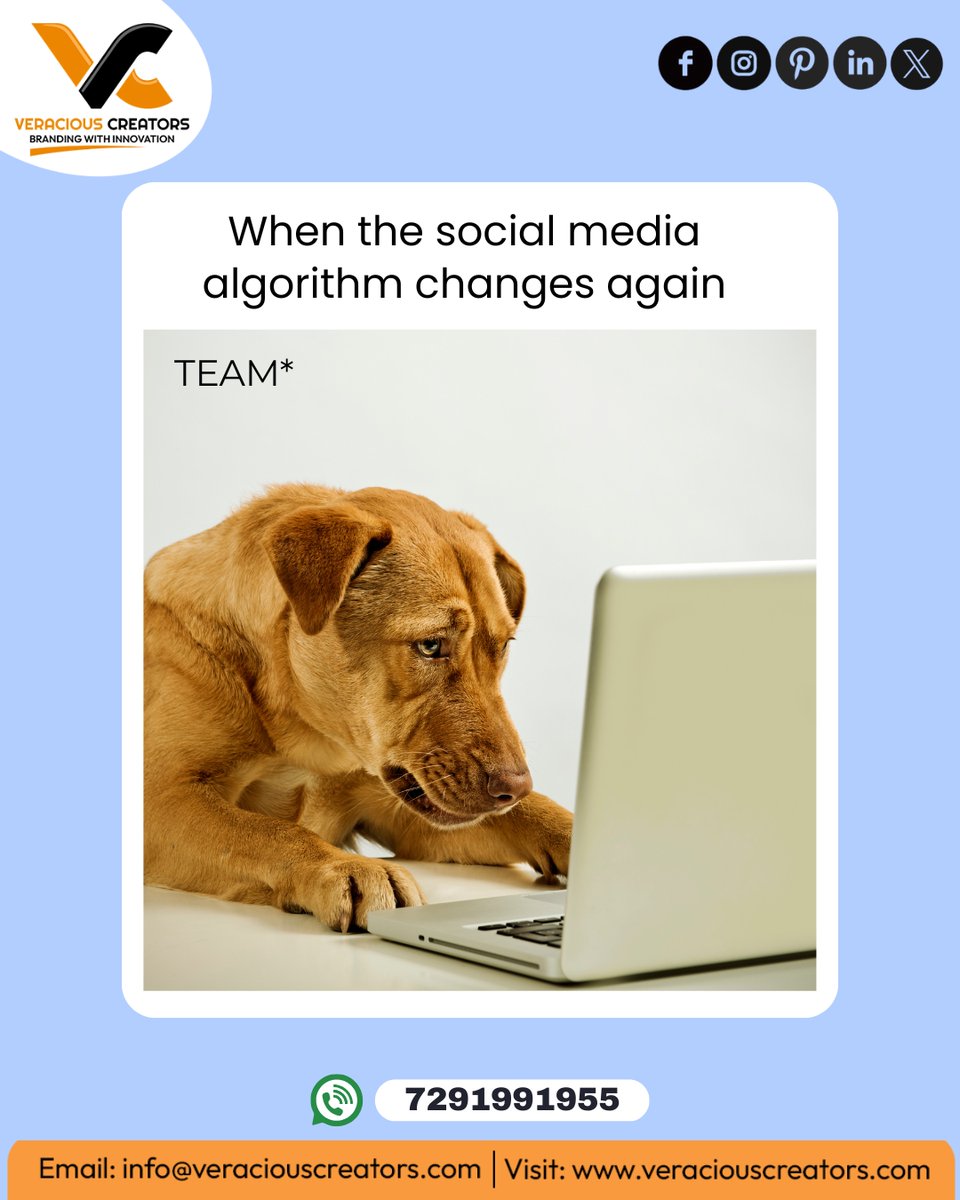 Veracious Creators tweet media