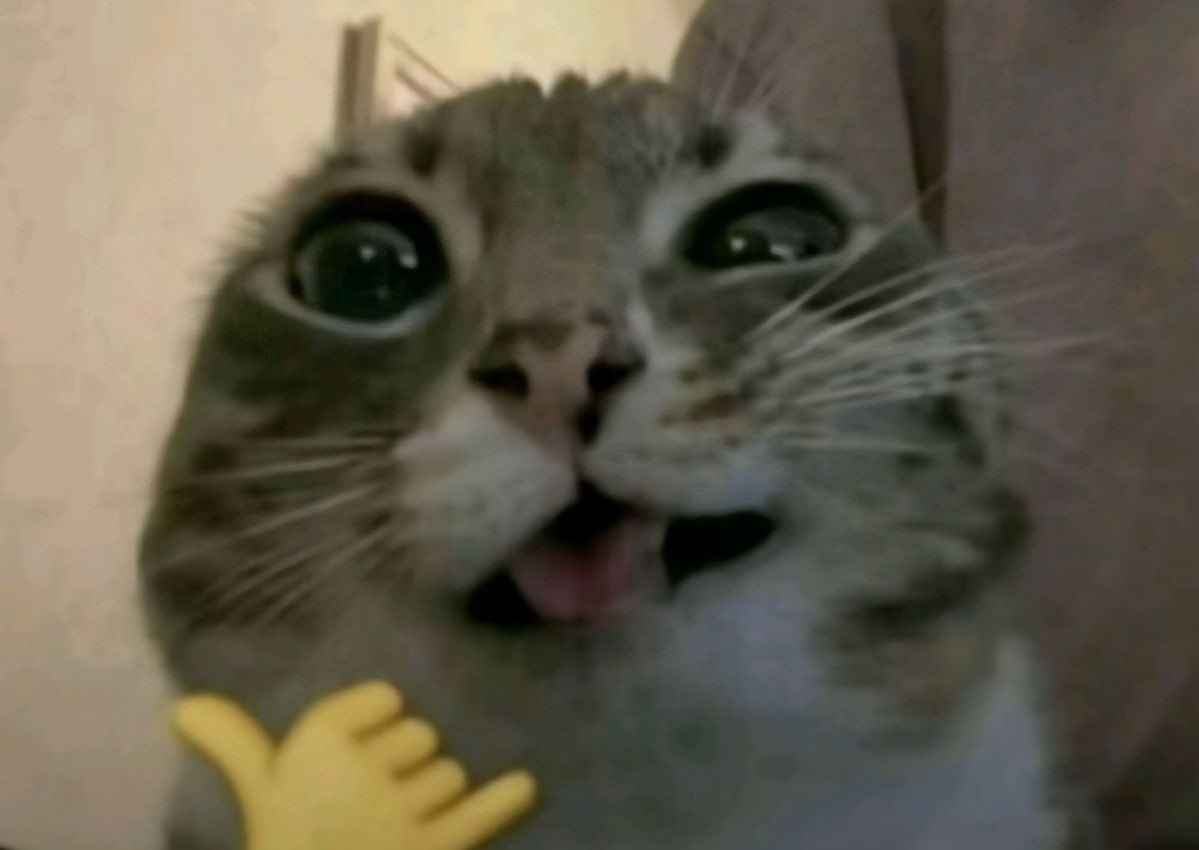 Как я себя чувствую, когда начальница на работе называет меня Настеныч