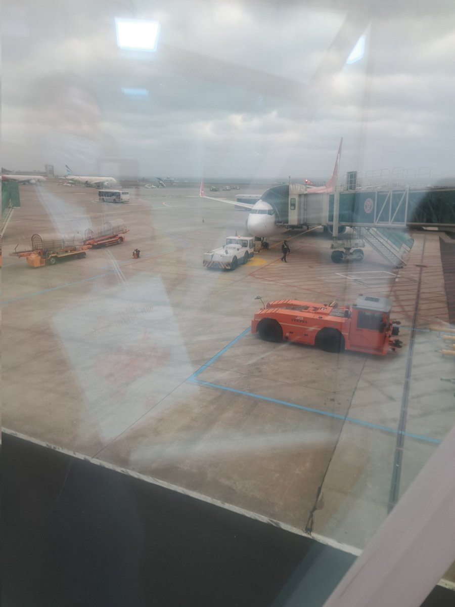 サヨナラ済州島。
楽しかったよ。