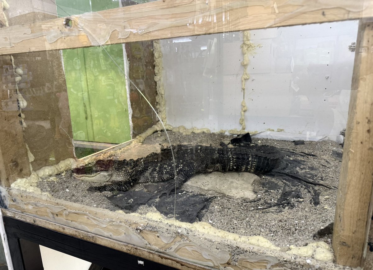 Ban Animal Trading tweet media