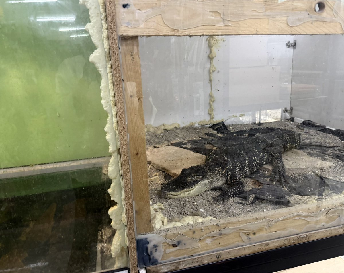 Ban Animal Trading tweet media