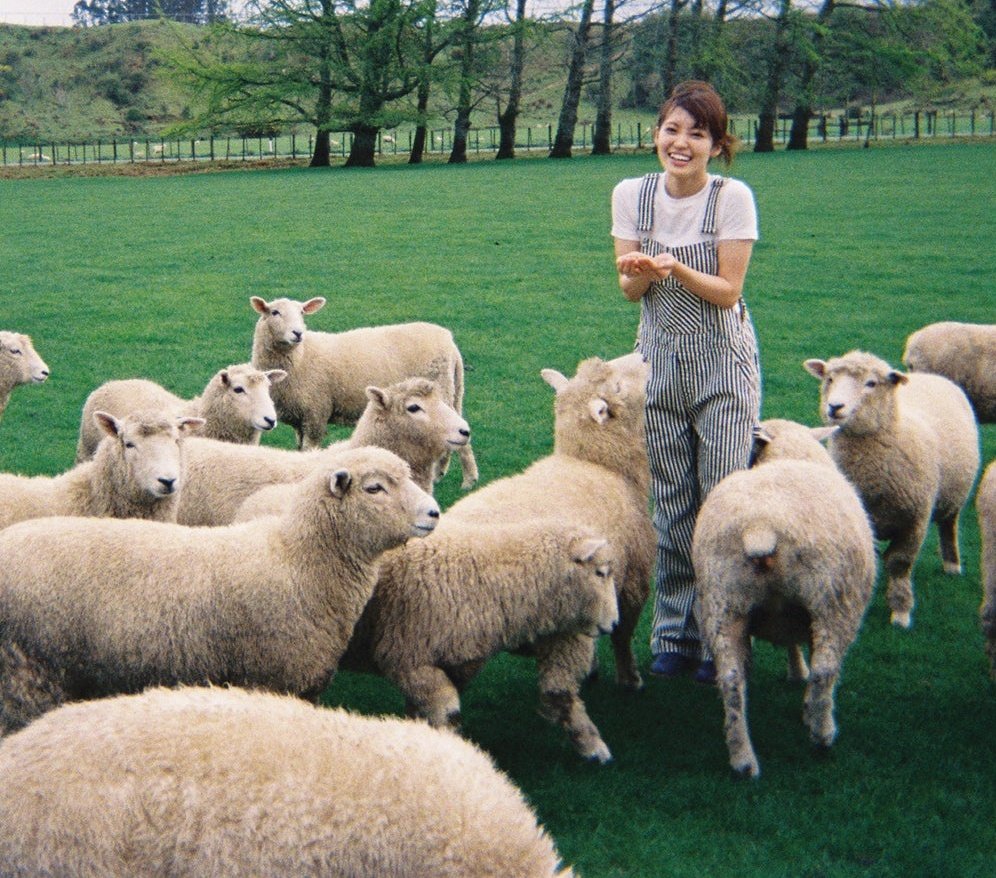 양들 사이에 낀 다람쥐 한마리.