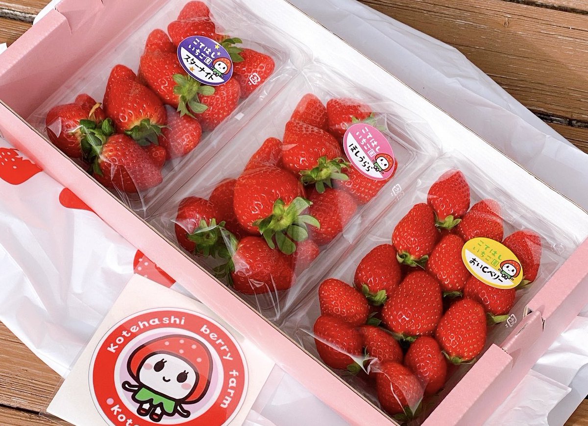 LAGOON ICE AKIHABARA tweet media