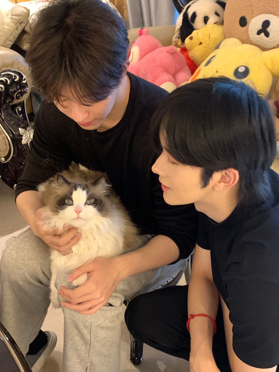 Some things we need to work on in the fandom:

1. Let's use #XYQQJ more often coupled with #XingQiu99 instead of just XingQiu since the XingQiu tag is also being used for a Genshin character.

2. Populate the hashtags by using either or both and tag #HuangXing / #EliotHuang and