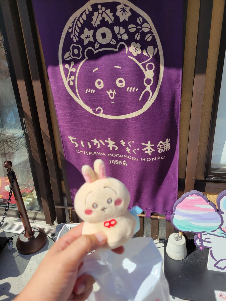 🐰ちい活（うさぎﾒｲﾝ）🐰🐰とっとこ🐰🐰ブルアカ（金沢スタンプラリー待機中） tweet media