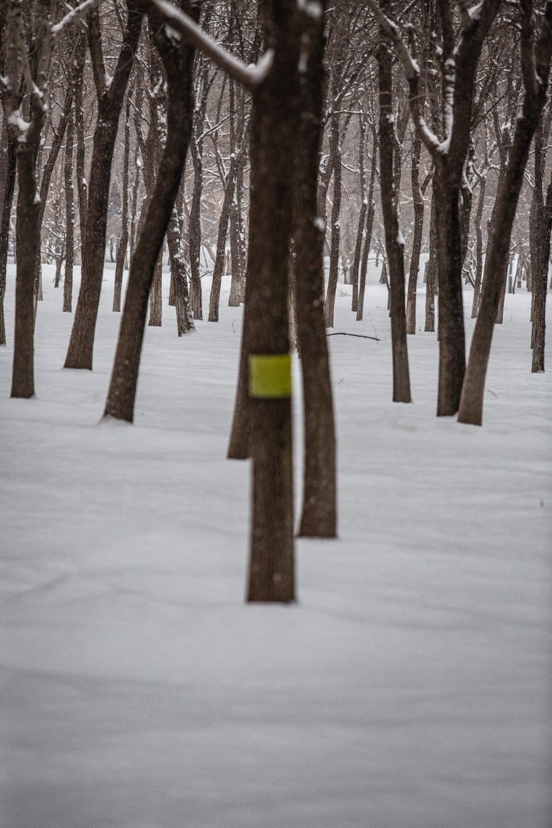 Snapshots of a park in Beijing suburb after snow.