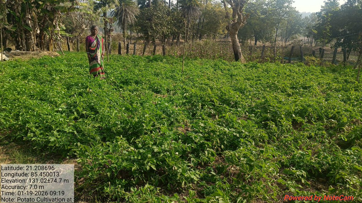 PSU_Otelp Plus tweet media