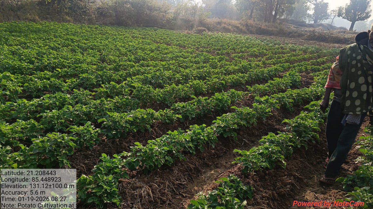 PSU_Otelp Plus tweet media