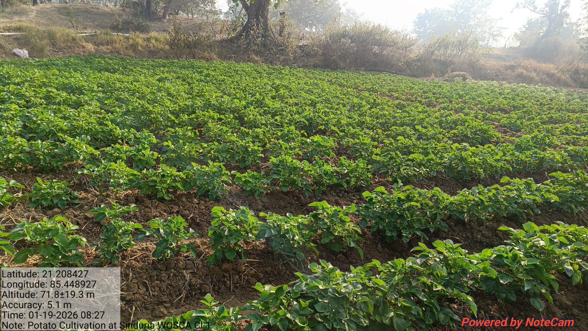 PSU_Otelp Plus tweet media