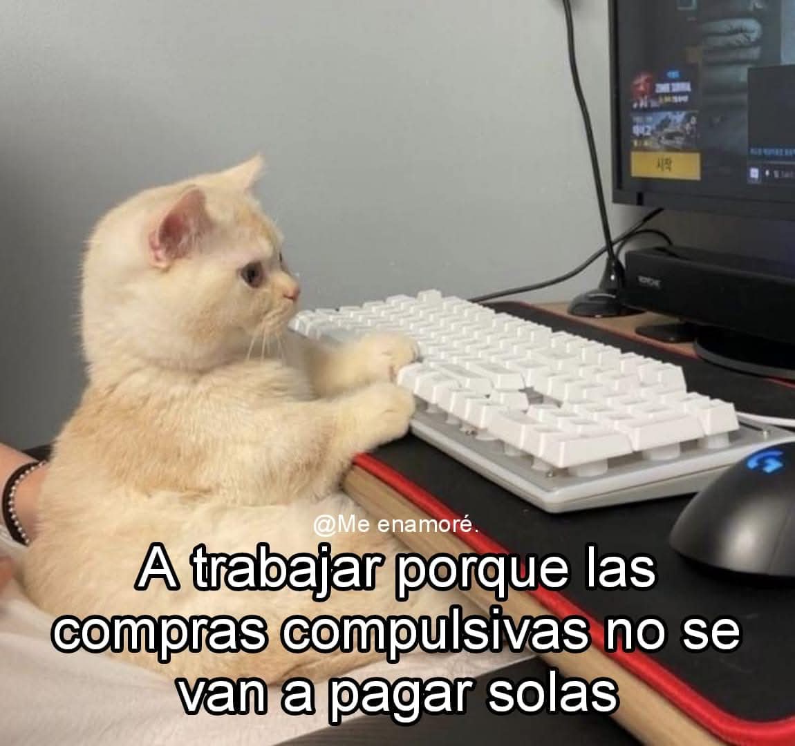 En Júpiter (@en_jupiter_) on Twitter photo 