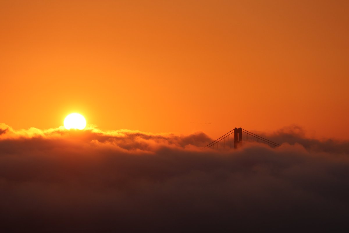 Jon Deaton tweet media