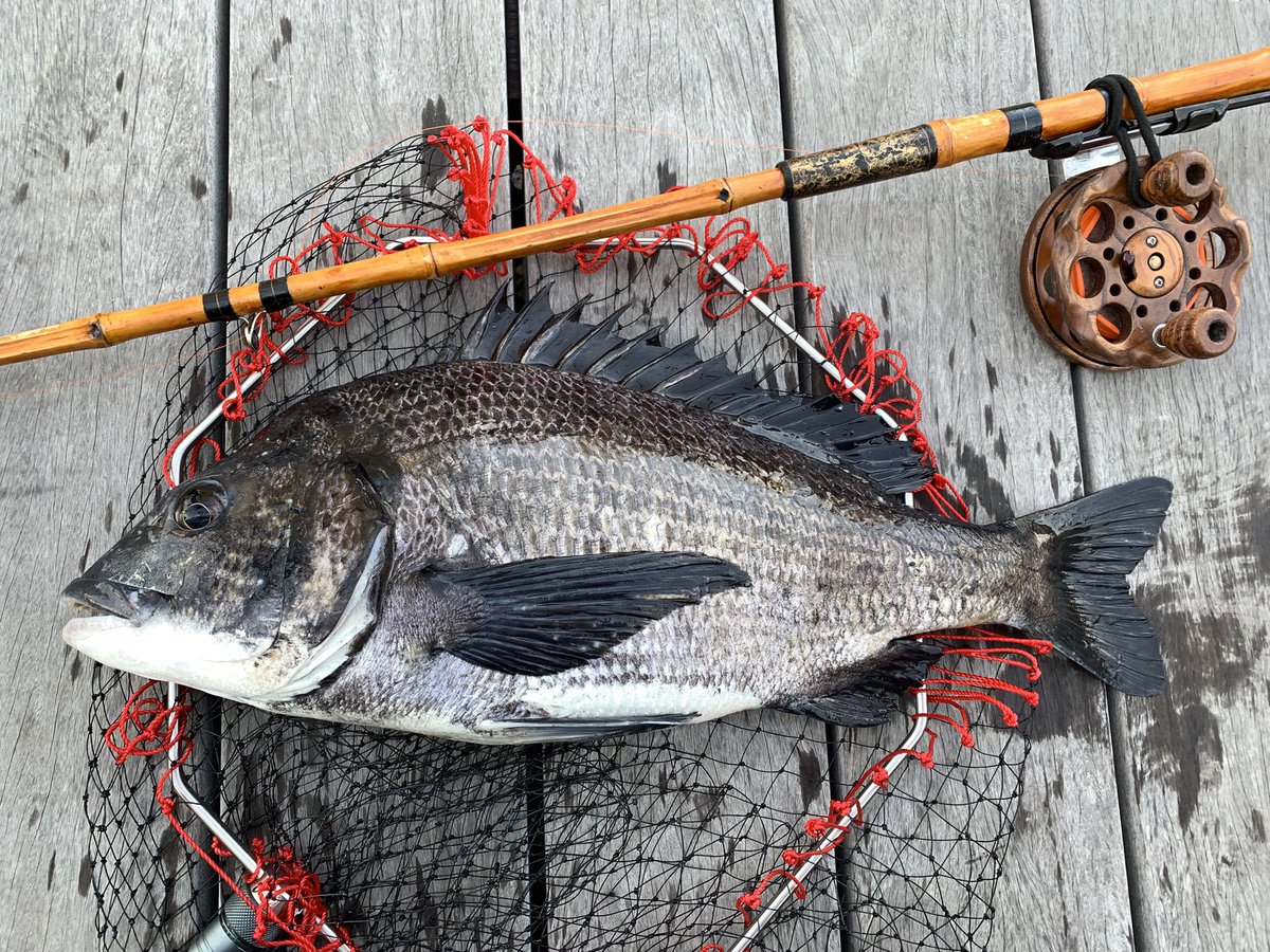 14-7-1
1月と思えないひったくり
