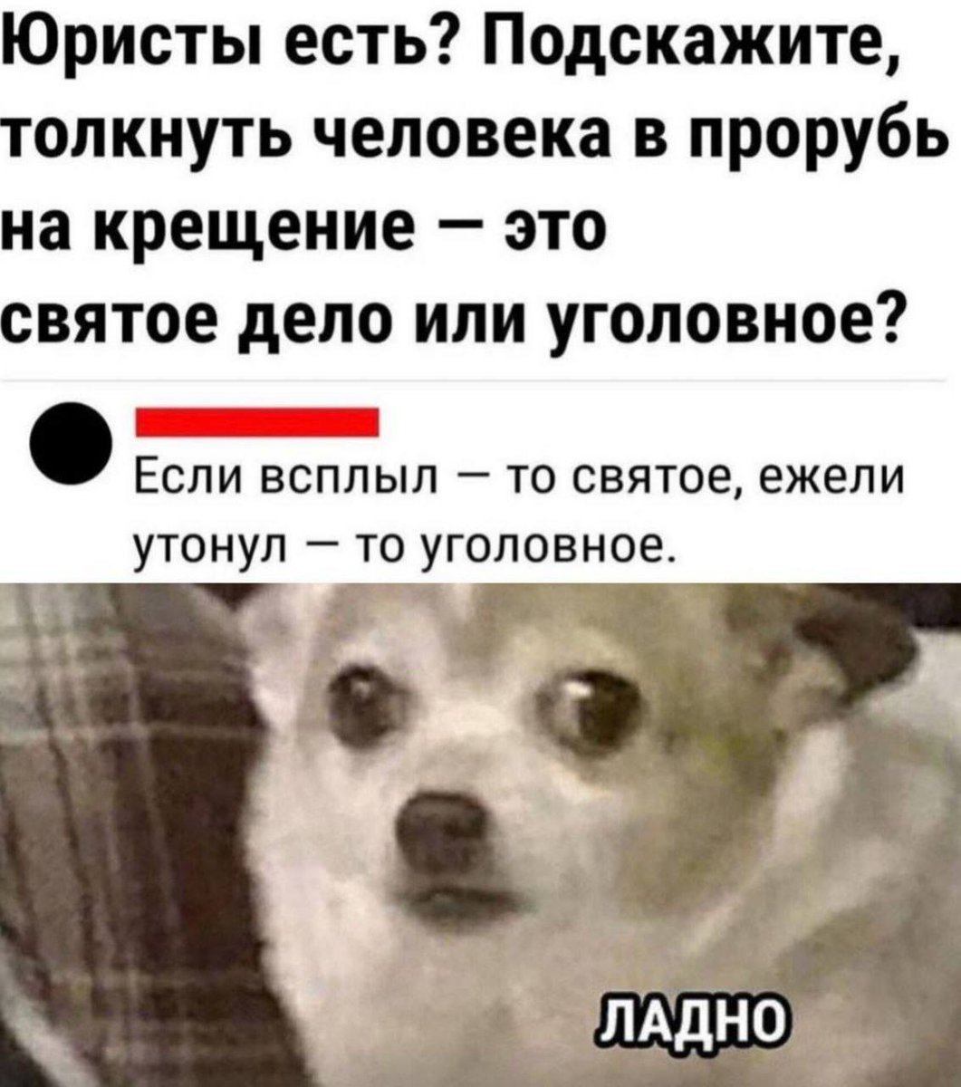 Пьяный Твиттер tweet media
