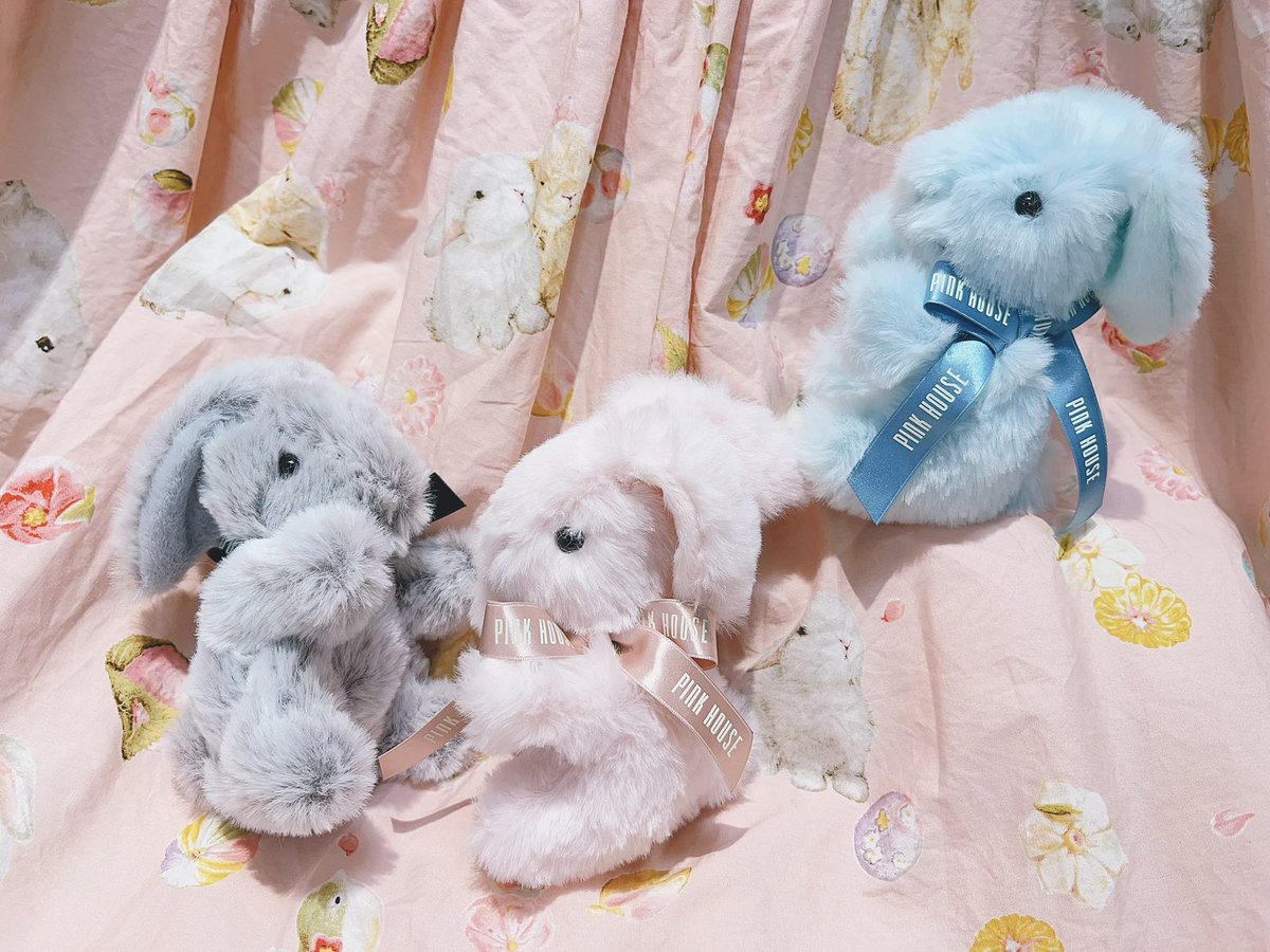 うさぎちゃんが再入荷しましたぁぁぁぁぁぁぁぁ🐇✨ 飼い主さん、迎え