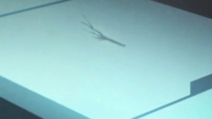 FateGrandOrder's tweet image. 枯れ木に花を咲かせましょう～　ってこと！？

#FGO