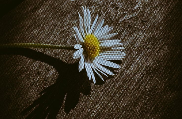 "seni bir kez inciten,
bin kez daha incitebilir."